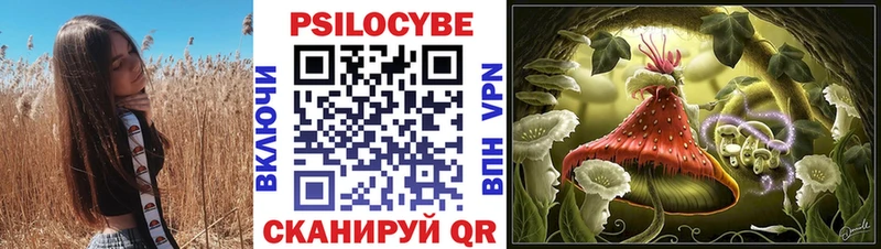 сколько стоит  Комсомольск-на-Амуре  Галлюциногенные грибы мицелий 